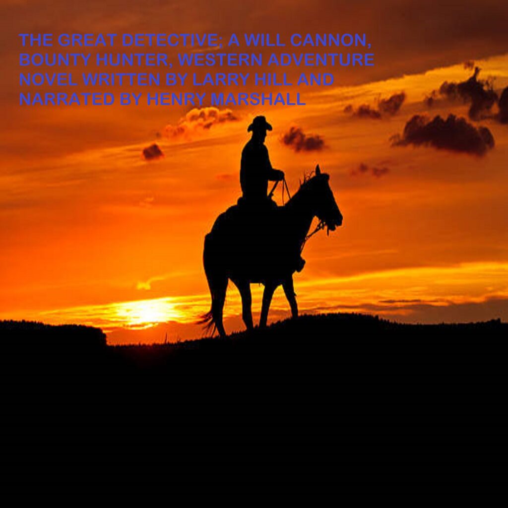 Horse and rider silhouetted by sunset